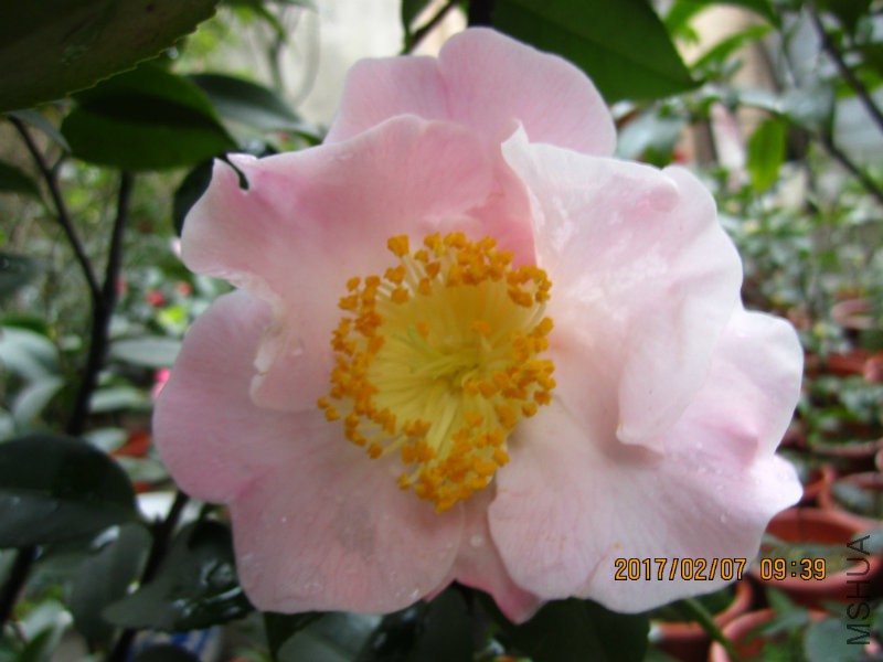 IMG_8463.JPG