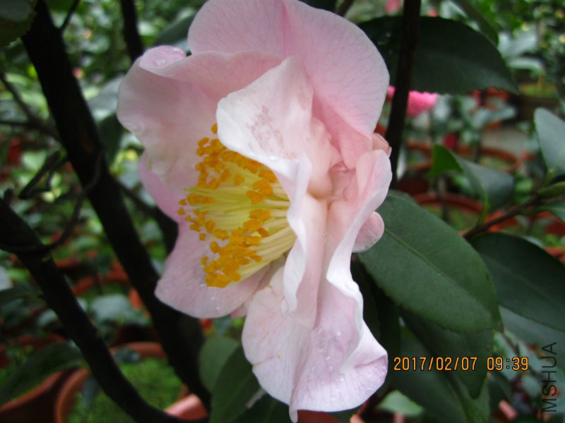 IMG_8464.JPG