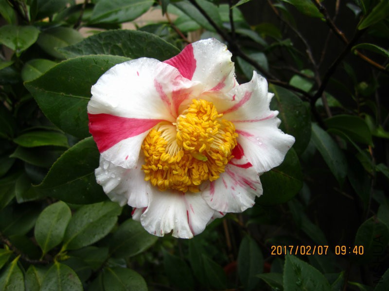 IMG_8466.JPG