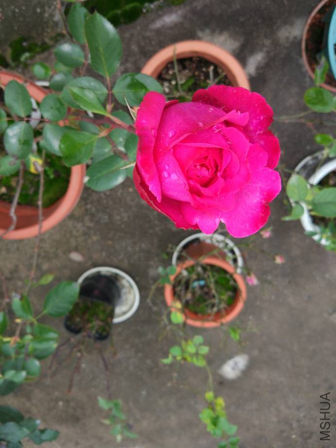 170446fl80ohhioe0c2c0i.jpg