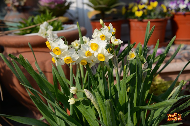 ��Ƭ 242_����.jpg