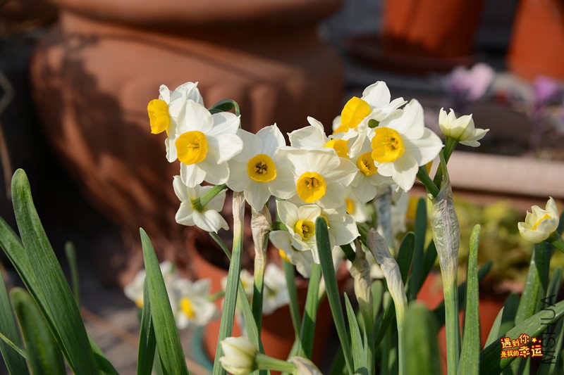 ��Ƭ 244_����.jpg