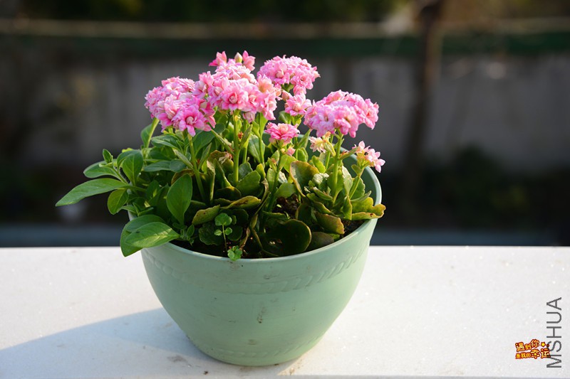 ��Ƭ 268_����.jpg