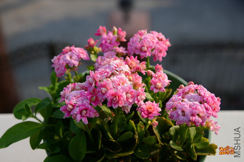 ��Ƭ 271_����.jpg