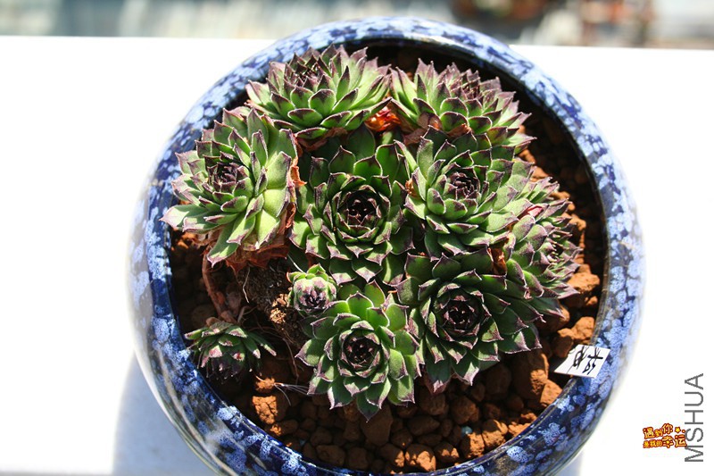 ��Ƭ 101_����.jpg