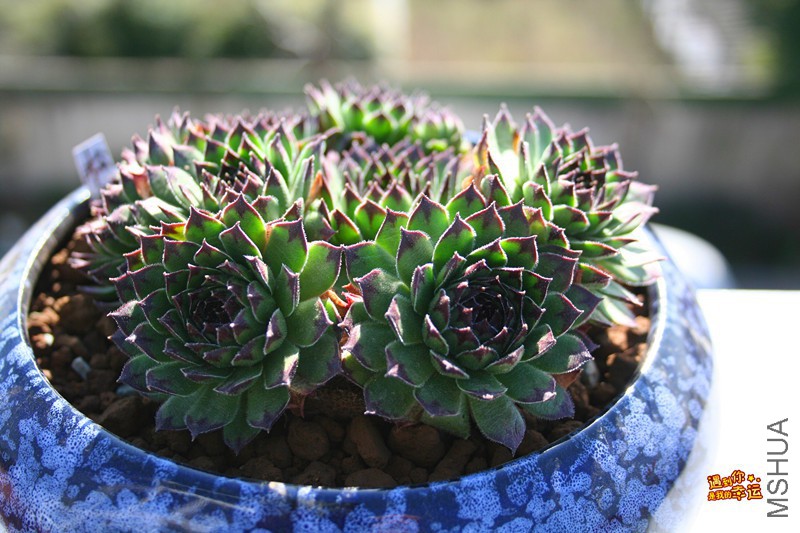 ��Ƭ 102_����.jpg