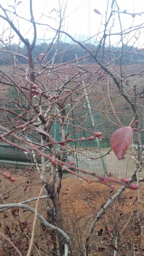 20170203_122502_����.jpg