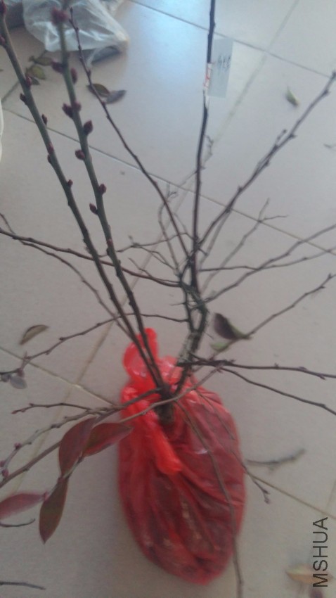 20170207_091206_����.jpg
