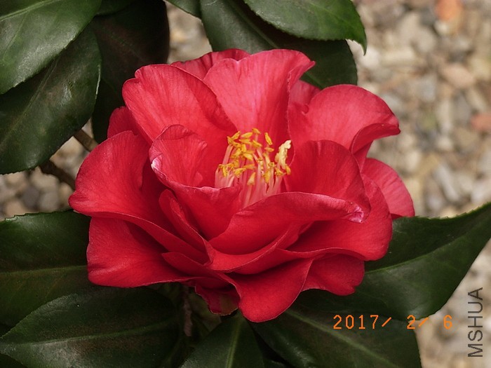 ӭ����a1.jpg