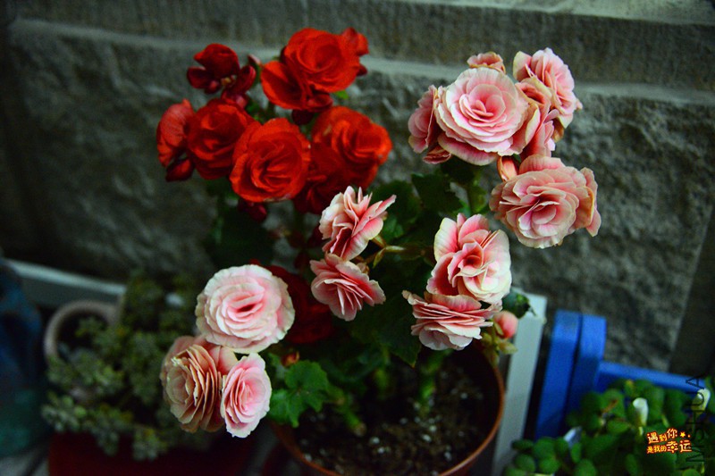 ��Ƭ 025_����.jpg