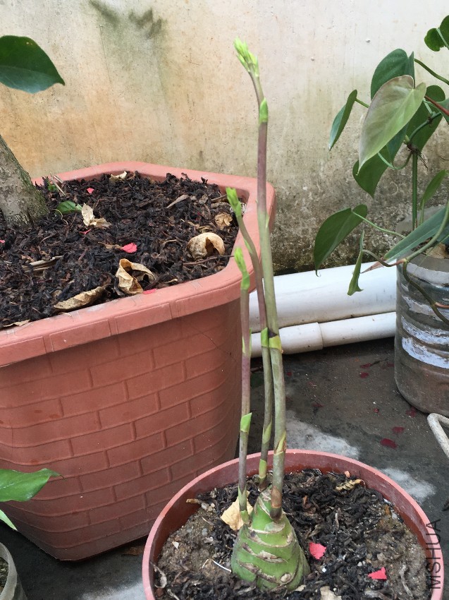 2017-01-31 163311.jpg