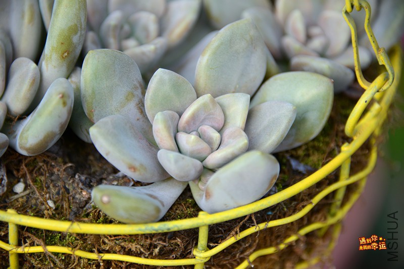 ��Ƭ 133_����.jpg