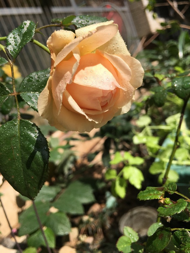 ����1