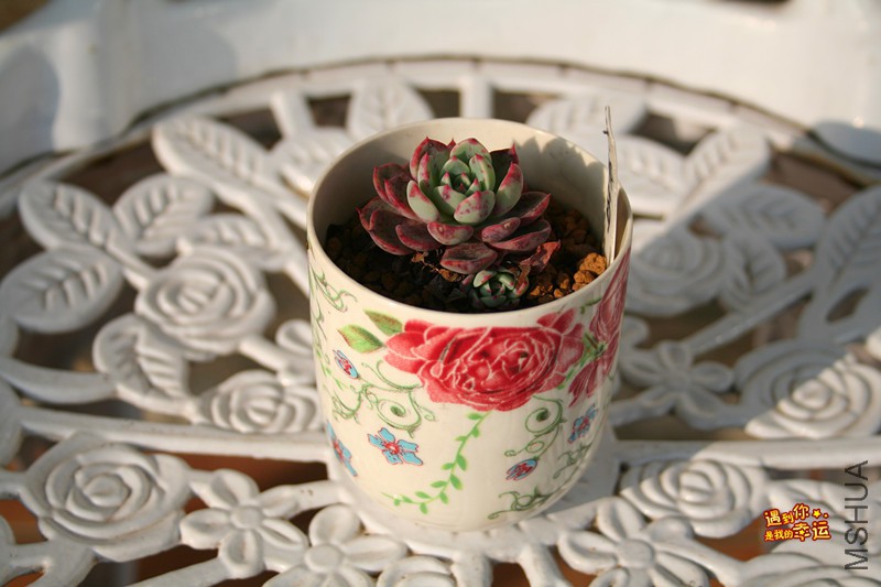 ��Ƭ 234_����.jpg