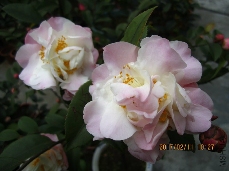 IMG_8470.JPG