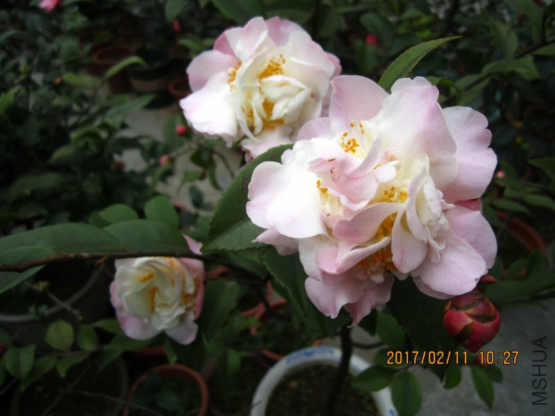 IMG_8471.JPG
