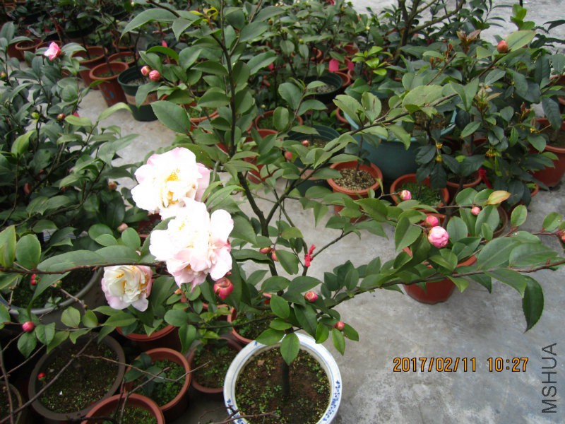 IMG_8472.JPG