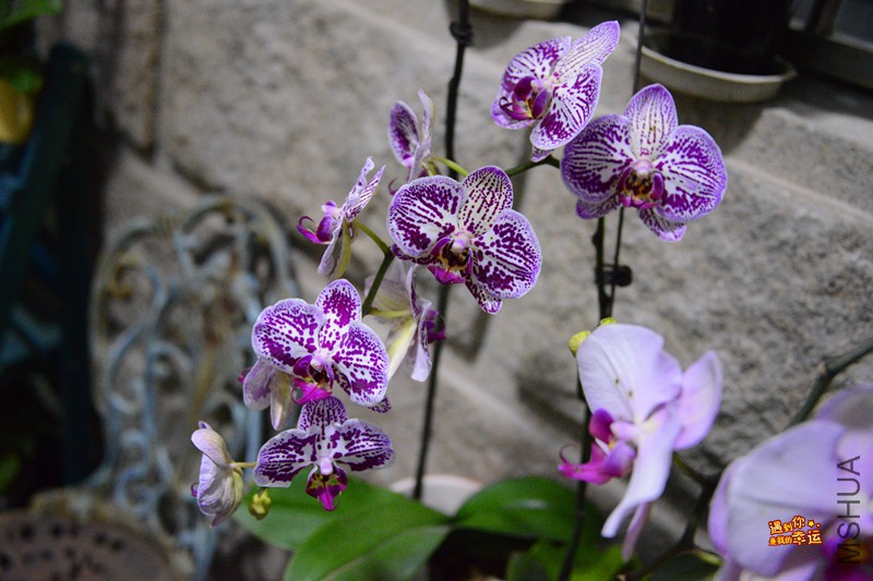 ��Ƭ 014_����.jpg