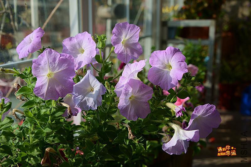 ��Ƭ 055_����.jpg