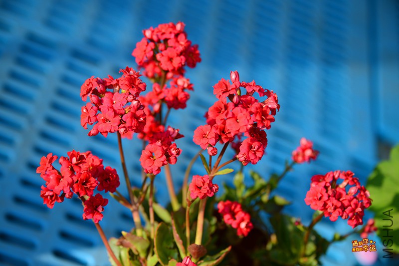 ��Ƭ 292_����.jpg