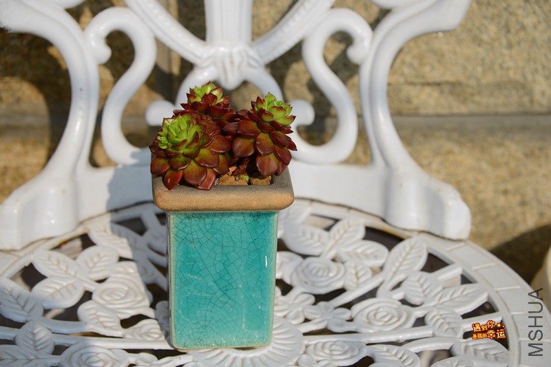 ��Ƭ 059_����.jpg