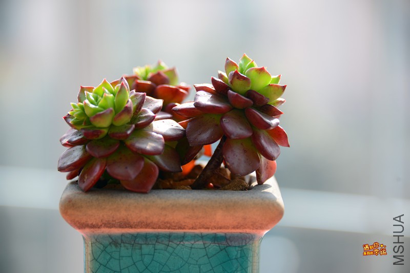 ��Ƭ 065_����.jpg