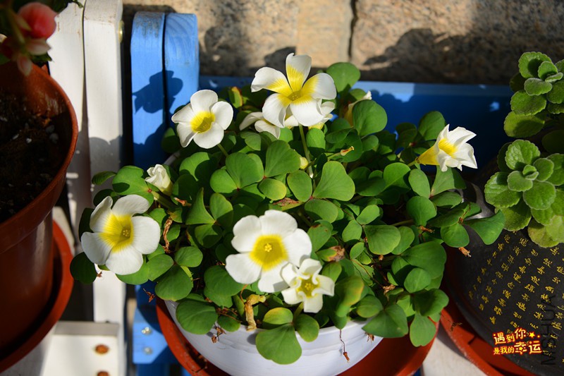 ��Ƭ 051_����.jpg