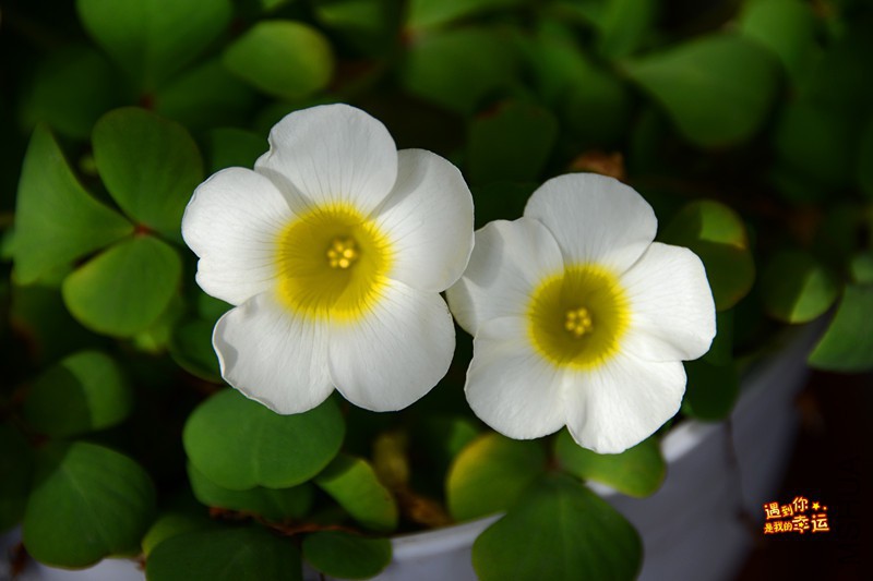 ��Ƭ 084_����.jpg