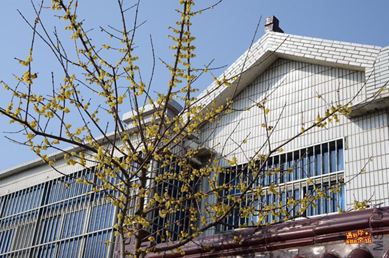 ��Ƭ 186_����.jpg