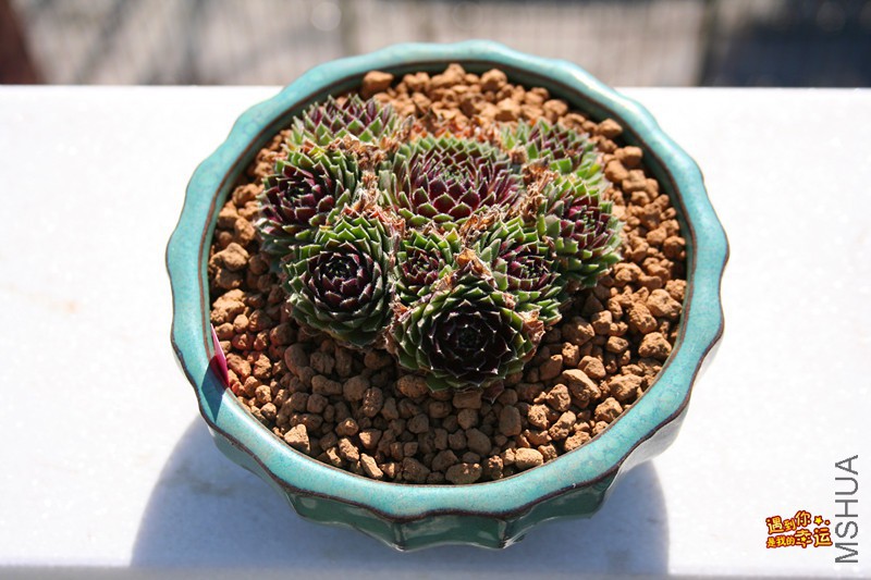 ��Ƭ 107_����.jpg