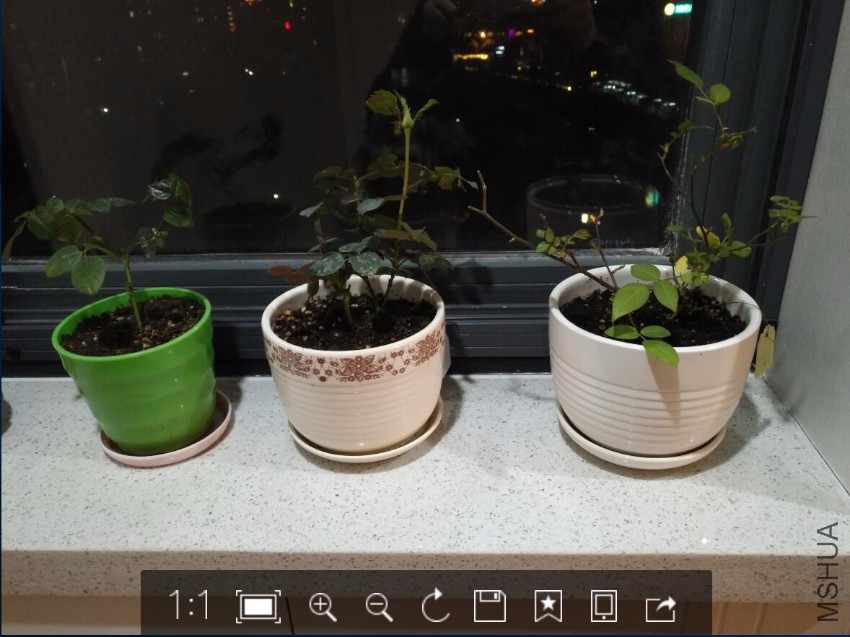 QQ��ͼ20170215191920.jpg