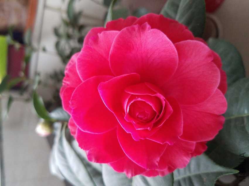 20170131_110720.jpg