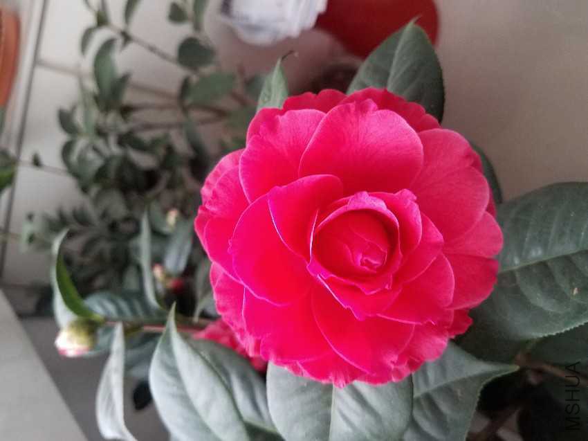 20170131_164345.jpg
