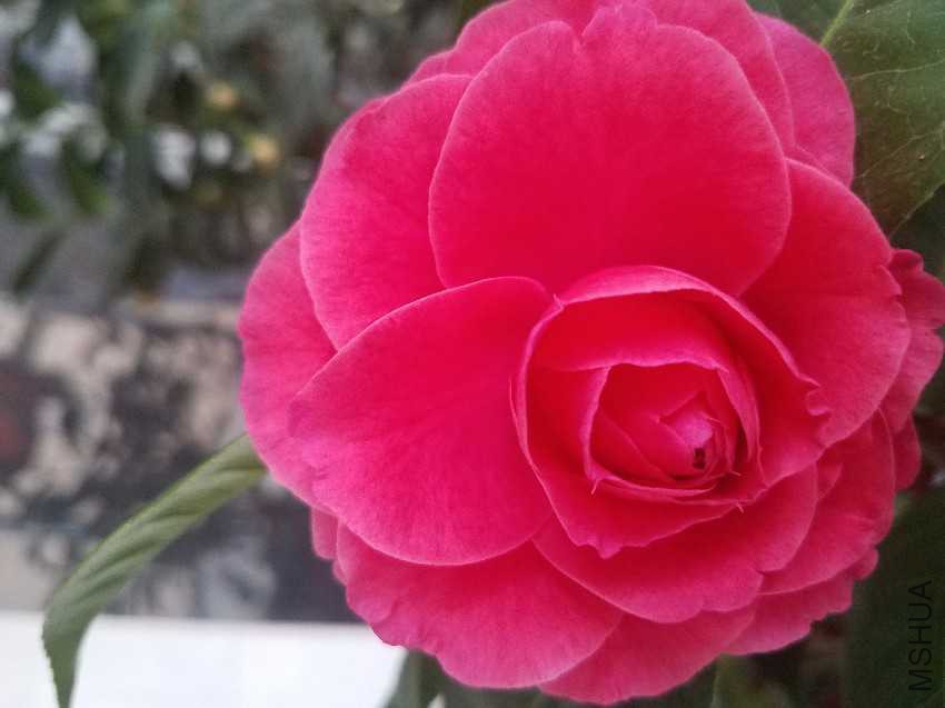 20170127_092759.jpg