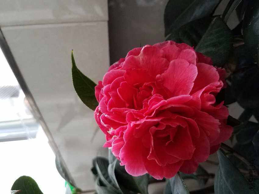 20170213_180510.jpg