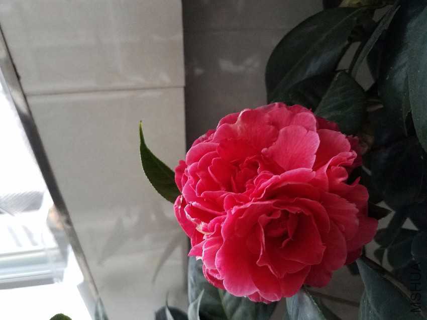 20170213_180528.jpg