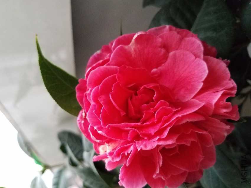 20170213_180526.jpg