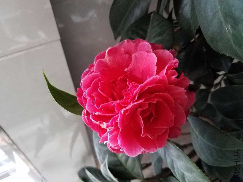 20170213_180456.jpg