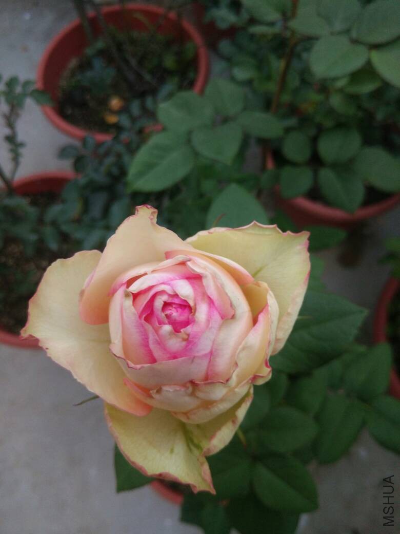 091838esgb7t6t78bztolb.jpg
