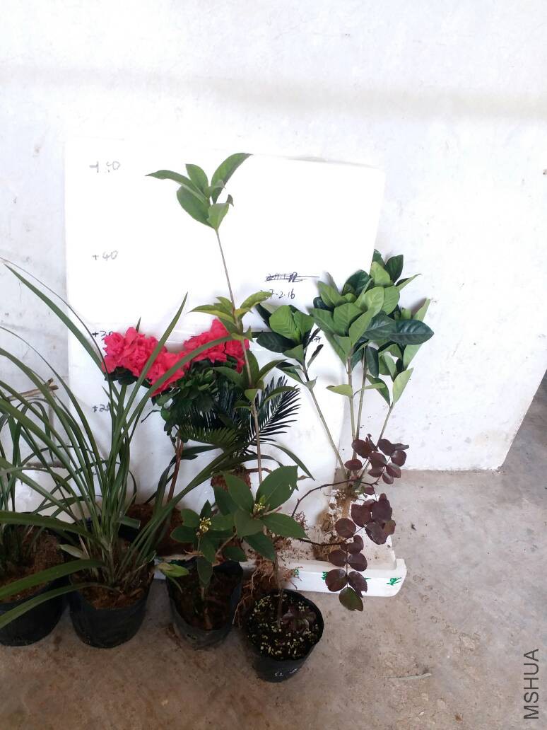 150834qa61dp8cns7w111k.jpg
