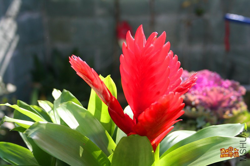 ��Ƭ 180_����.jpg