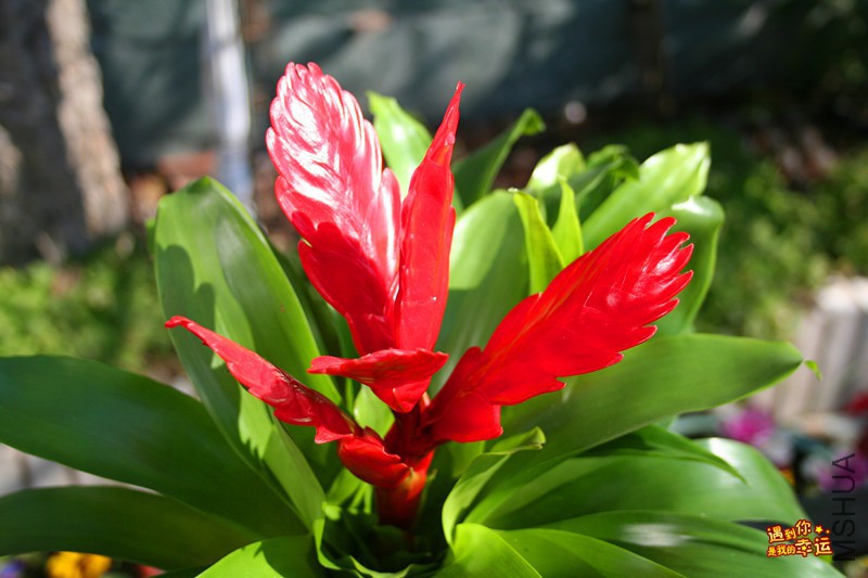 ��Ƭ 178_����.jpg