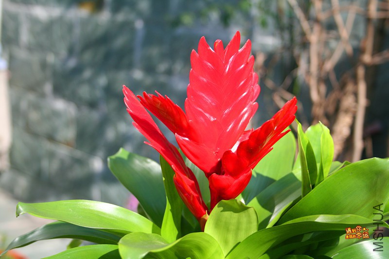 ��Ƭ 184_����.jpg