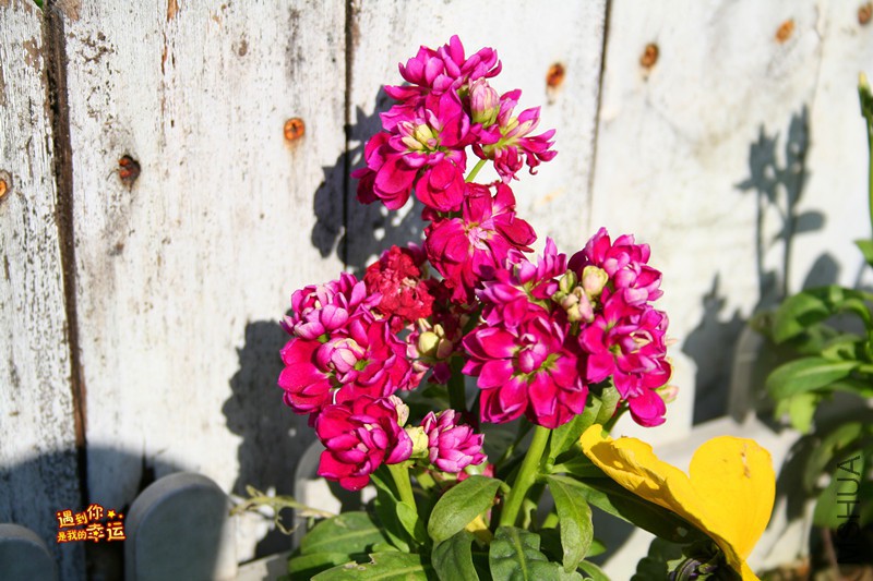 ��Ƭ 140_����.jpg