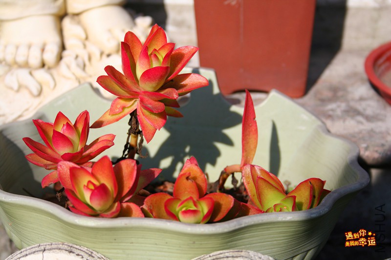 ��Ƭ 144_����.jpg