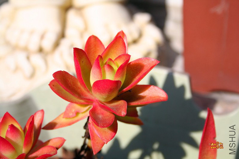 ��Ƭ 146_����.jpg