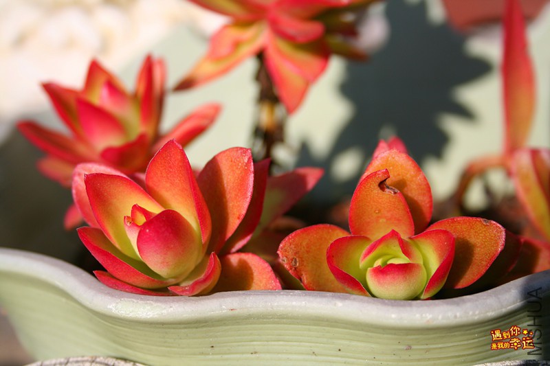 ��Ƭ 148_����.jpg