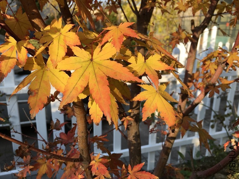 124608tghjajrgakx2j2zh.jpg
