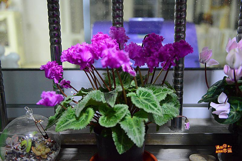 ��Ƭ 016_����.jpg