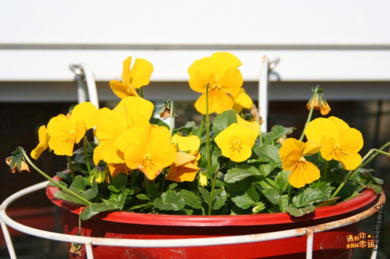 ��Ƭ 131_����.jpg